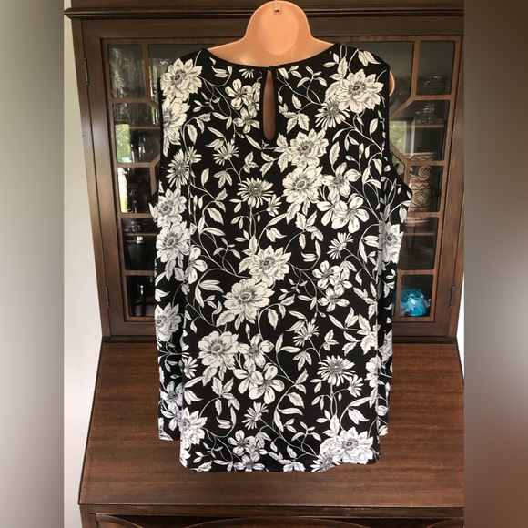 Mario Serrani - Picture 3 of 6